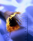 fiber optic