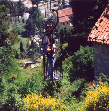 Tammy descending